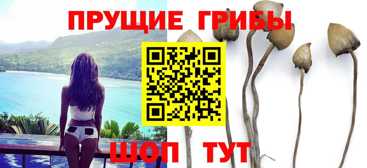магазин продажи наркотиков  Псилоцибиновые грибы мицелий  Вход с VPN  Урай 